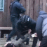 В Республике Алтай раскрыли убийство, совершённое более двадцати лет назад - Газета Звезда Алтая
