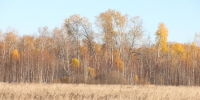 В регионе отменили пожароопасный сезон - Aromashevo.Online
