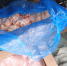 Из Омска в Казахстан пытались вывезти мясо птицы без ветеринарных документов - Комсомольская Правда