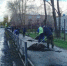 В Полевском подводят итоги осеннего экологического субботника - Polevskoy24.Ru