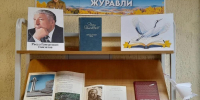 В Сладковской библиотеке действует выставка ко Дню белых журавлей - Сетевое издание Трудовое знамя