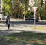 Ростовчане пожаловались на отсутствие пешеходного перехода в переулке Авиамоторный - DonDay.Ru
