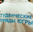Студенческие отряды в Югре могут поработать на стройках АЭС в Турции и Египте - ИД Новости Югры