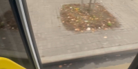 А у девчонок ветерок дует между ног в Воронеже - Bloknot-Voronezh.Ru