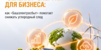 «Зелёная» энергия для бизнеса: как «Башэлектросбыт» помогает снижать углеродный след - Бакалинский район