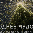Из Великого Устюга в Старобельск привезут новогоднюю ель — её подарят детям - Региональное Агентство Новостей