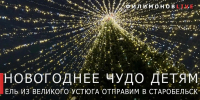 Из Великого Устюга в Старобельск привезут новогоднюю ель — её подарят детям - Региональное Агентство Новостей