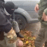 В Чайковском двух полицейских обвинили в получении взятки в 200 тыс. рублей - Ветта