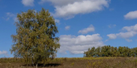 Картинка - Regions.Ru