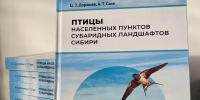 Тувинские ученые получили награду за исследование сибирской орнитофауны - ТувГУ