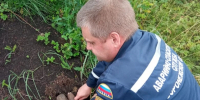 В Воронежской области уничтожили 17 боеприпасов времен Великой Отечественной войны - Комсомольская Правда