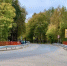 Водителям Московской области рассказали о дорожной обстановке - MosRegToday.Ru