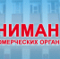 внимание НКО - фото - 1 - Министерство по внутренней политике