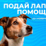 фото из группы в ВК Центра путешественников - НИА