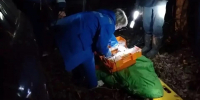 Пассажиры сумели выбраться, а девушку-водителя зажало: в Челябинской области машина слетела с дороги - КП Челябинск