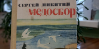 Фото: МБУК ЦБС г. Гусь-Хрустальный,худ. В.Фесюн - Библиотечный информационный центр