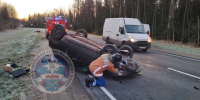 Два человека пострадали в ДТП с лосем на трассе в Ленобласти - Spbdnevnik.ru