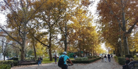 Фото: НИА Кубань - НИА-Кубань