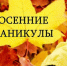 Куда отправить ребенка на отдых в осенние каникулы? - Газета Заря Урала