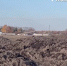 Ульяновцы из Сухой Бугурны жалуются на горы свекловичного жома рядом с селом - Комсомольская правда