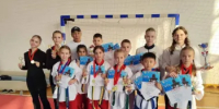 Воспитанники Веселовской спортивной школы блестяще выступили на турнире по тхэквондо «Кубок Кочевника» - Веселовский район