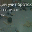 Поделитья во ВКонтакте - Братская Студия Телевидения