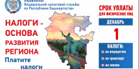 Земельный, транспортный и имущественный налоги нужно уплатить до 1 декабря - Сетевое издание Ufaved.Info