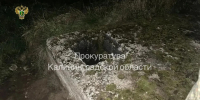 В Черняховском районе погиб 4-летний мальчик: возбуждено уголовное дело - Kaskad.TV