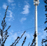 В Ростове-на-Дону стал доступен новый стандарт связи 5G в центральных городских зонах - Комсомольская правда