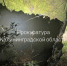 Фото - NewKaliningrad.Ru