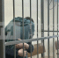 Семье Коноваловых, истязавшей своего сына, назначили по 6 лет каждому в исправительной колонии и штраф в 590 тысяч - ИА Тульские новости