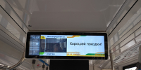 Сколько «Касторов» уже в Екатеринбурге? - ЕМУП ТТУ