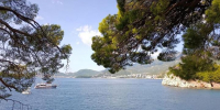 деревья, море, кораблик - Петрозаводск говорит