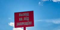 Фото: МАУ Татышев-парк / группа ВКонтакте - НИА
