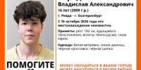 В Свердловской области почти неделю ищут подростка - EaNews.Ru
