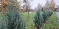 Картинка - Regions.Ru