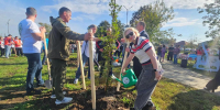 Процесс высадки деревьев - Министерство природных ресурсов