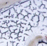 Фото: https://www.cgemo.ru/konsultatsionnyy-tsentr/sanprosvet/?ELEMENT_ID=1629 - Вологда-поиск