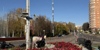 Городские клумбы в Дзержинском готовят к зиме - Телеканал ЛТВ
