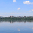Ученые выявили 13 видов рыб в Воронежском водохранилище - Обозреватель.Врн