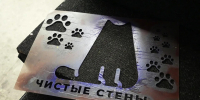 Чемпионат «Чистые стены» стартовал в Кемерове - Horosho.info