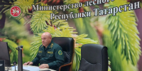 В Рослесхозе прошло заседание Федерального штаба по координации деятельности по тушению лесных пожаров - Министерство лесного хозяйства