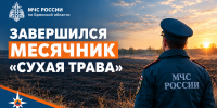На территории Брянской области завершены мероприятия профилактического месячника «Сухая трава» - МЧС