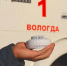 На Вологодчине на 7% сократилось число пожаров - Региональное Агентство Новостей