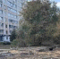 Ремонт проезда в микрорайоне «Дубрава» начался в Воронеже - ВестиПК в Воронеже