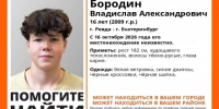 Почти неделю ищут пропавшего подростка в Свердловской области - Фото 1 - JustMedia
