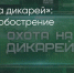 Поделитья во ВКонтакте - Братская Студия Телевидения