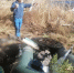 001-2026-10-21-ku.jpg - Ozersk74.Ru