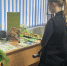 День открытых дверей - Вавиловский университет