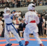 250 каратистов выступили на чемпионате и Первенстве области! - KalugaSport.Ru